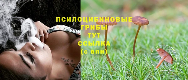 прущий лед Алексин