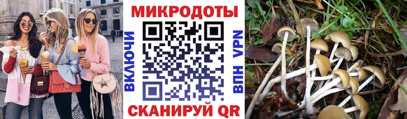 Псилоцибиновые грибы прущие грибы  где найти   hydra ссылки  shop как зайти  Дудинка 